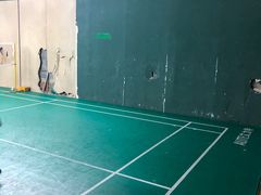 -东丽温泉羽毛球