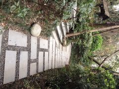青城道温泉-青城道汤池