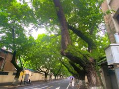 -颐和路民国时期公馆风貌区