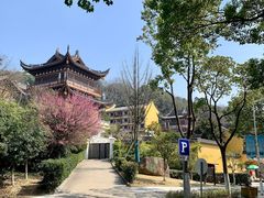 -汤山公园