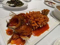 -洋洋中餐馆·SINCE 1997(信投店)