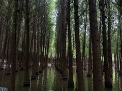 -捞渔河湿地公园