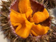 -海胆小馆(东北水饺·春柳店)