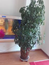 -苗方清颜专业祛痘养生