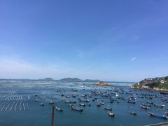 -枸杞岛