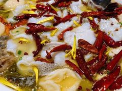 -江渔儿酸菜鱼(常平翔龙天地店)