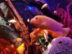 -沈阳海洋探索中心