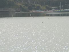 -羊山湖公园