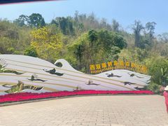 -西双版纳原始森林公园