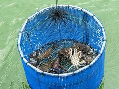 -七的湖·江南蟹舫·阳澄湖农家菜(蟹舫苑店)