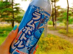 -大兴滨河森林公园