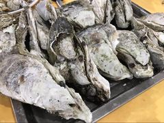 -蚝专家(北滘店)