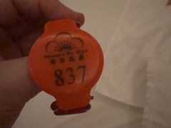 -世外桃源水疗会(皇庭彩园店)