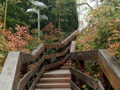 -龙门崮风景区