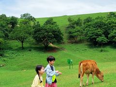 -大姆山草场