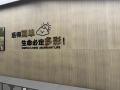 -胖东来生活广场(健康路店)