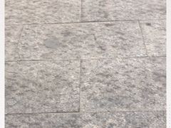 -文星素食(兴华路店)