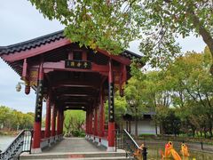-南汇桃花村