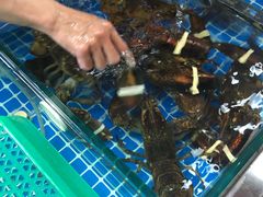 -板桥海鲜广场(文明东店)
