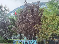 -凤凰中心
