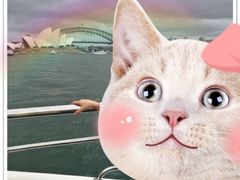 -悉尼歌剧院