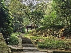-黄埔油麻山森林公园