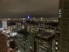 -东京都厅舍