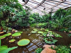 -昆明植物园