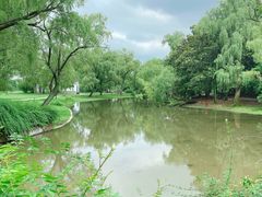 -上海共青森林公园