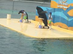 -秦皇岛乐岛海洋王国