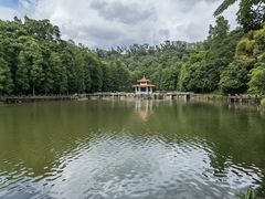 -深圳仙湖植物园