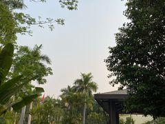 -西双版纳融创皇冠假日度假酒店