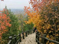 -北京上方山国家森林公园