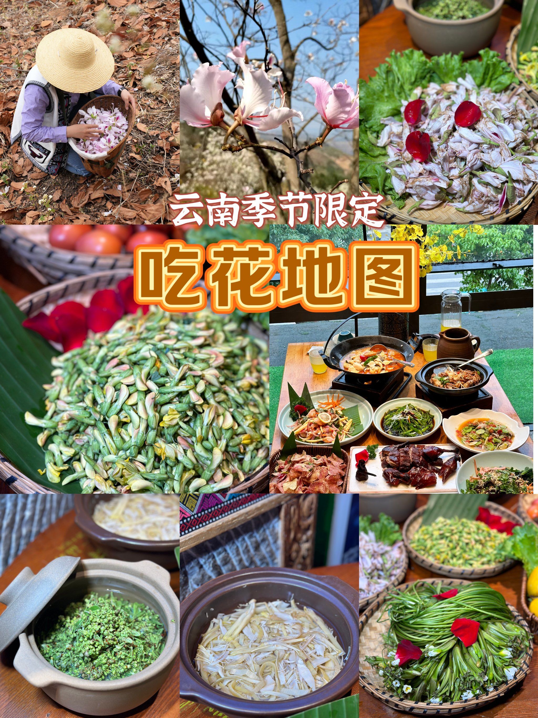 夏天了,快来云南吃花吧