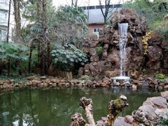 -虹迎轩·中餐厅(虹桥迎宾馆店)