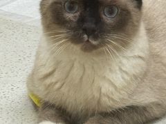 -安安宠医·臻爱宠物医院·宠保定点(营门口路分院)