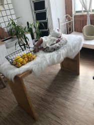 -贝乐家儿童摄影店(繁花中心店)