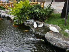 -顺德渔村·岭南一号