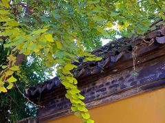-西园戒幢律寺