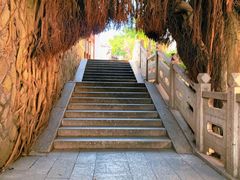 -乌山风景区