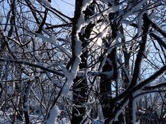 -中旅松花湖滑雪场