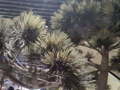 -桂满陇·锦绣江南(益田广场店)