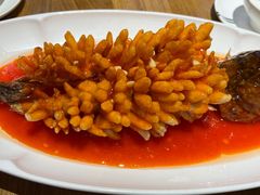 -赤宴·川菜(玉林店)