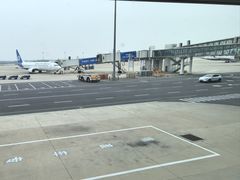 -郑州新郑国际机场-T2航站楼