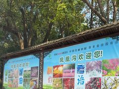 -凤凰沟景区