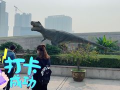 -陕西自然博物馆