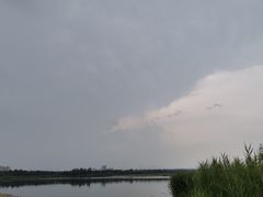 -绿堤公园