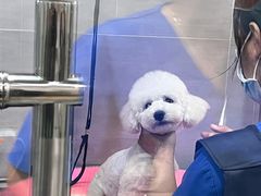 -宠福鑫康馨动物医院·骨科·眼科