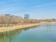-大兴滨河森林公园