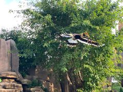 -芽庄珍珠岛游乐园